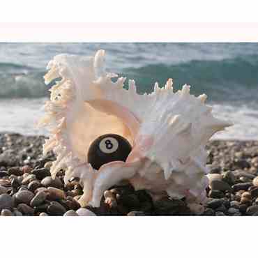 ПОСТЕР AFG PROFI 05072 70х50СМ